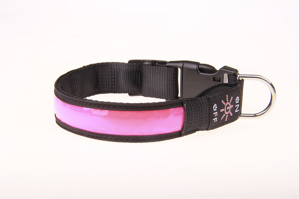 USB Rechargeable LED Pet Collar