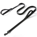 Pet Leash