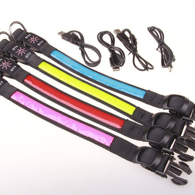USB Rechargeable LED Pet Collar