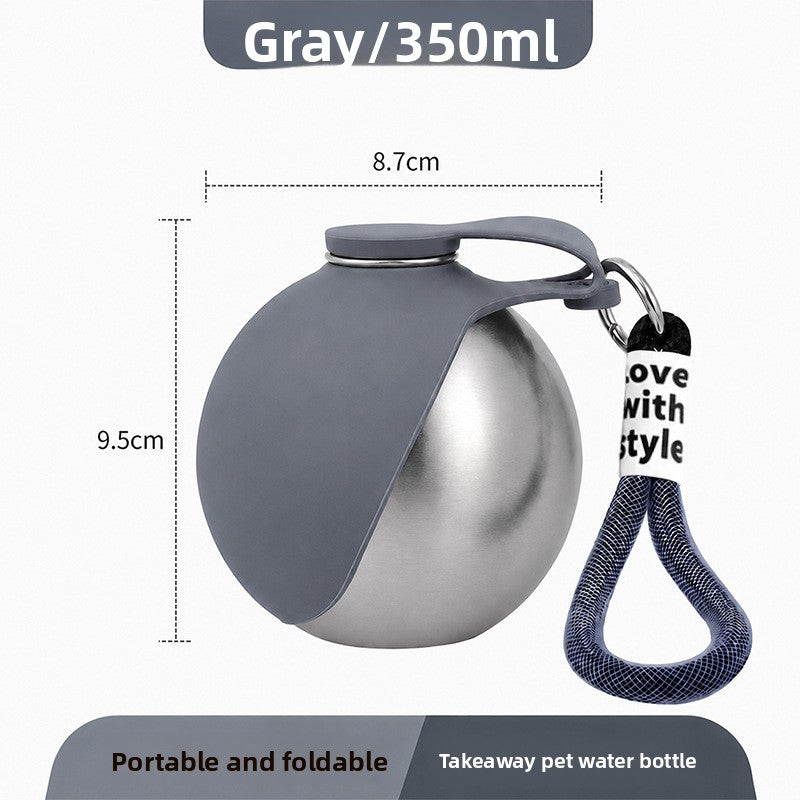 Stainless Steel Pet Water Bottle