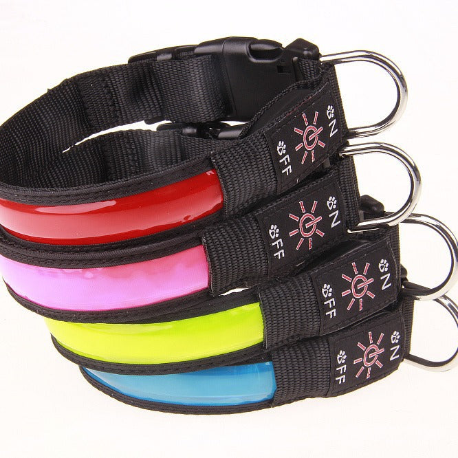 USB Rechargeable LED Pet Collar