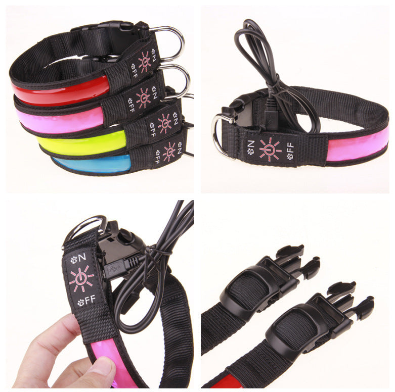 USB Rechargeable LED Pet Collar